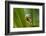 The Curve-Dikky Oesin-Framed Photographic Print