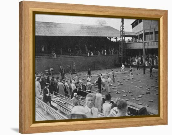 The Cushion Bombardment of No 1 Court, Davis Cup, Wimbledon, 1935-null-Framed Premier Image Canvas