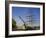 The Cutty Sark, an Old Tea Clipper, Greenwich, London, England, UK-Charles Bowman-Framed Photographic Print