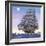 The Cutty Sark-John S. Smith-Framed Giclee Print