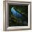 The Cutwater Fusterclunk-Trevor Alyn-Framed Photographic Print