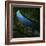 The Cutwater Fusterclunk-Trevor Alyn-Framed Photographic Print
