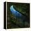 The Cutwater Fusterclunk-Trevor Alyn-Framed Premier Image Canvas