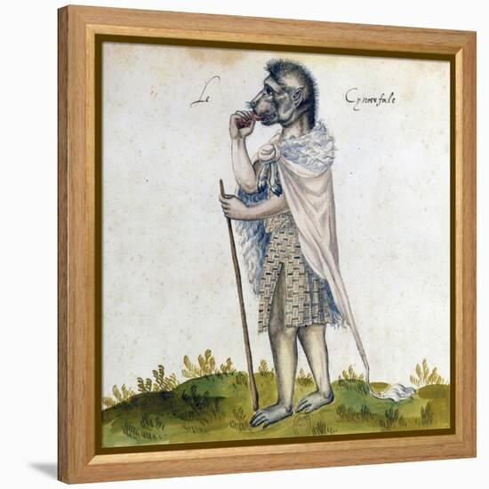 The Cynoscephalus, 15th Century-null-Framed Premier Image Canvas