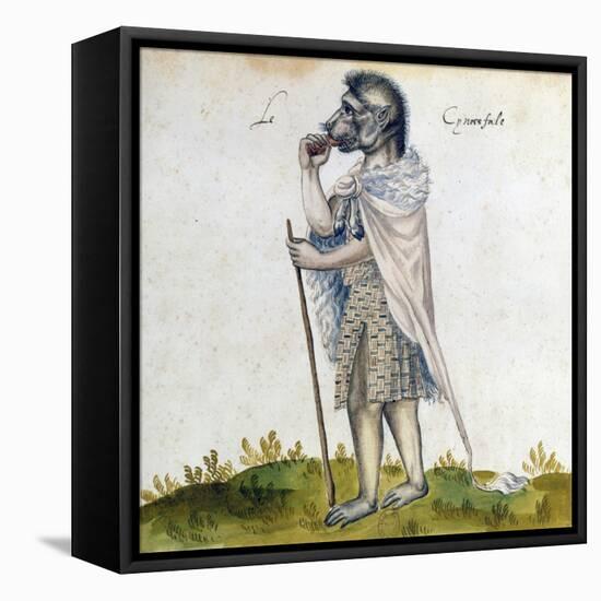 The Cynoscephalus, 15th Century-null-Framed Premier Image Canvas