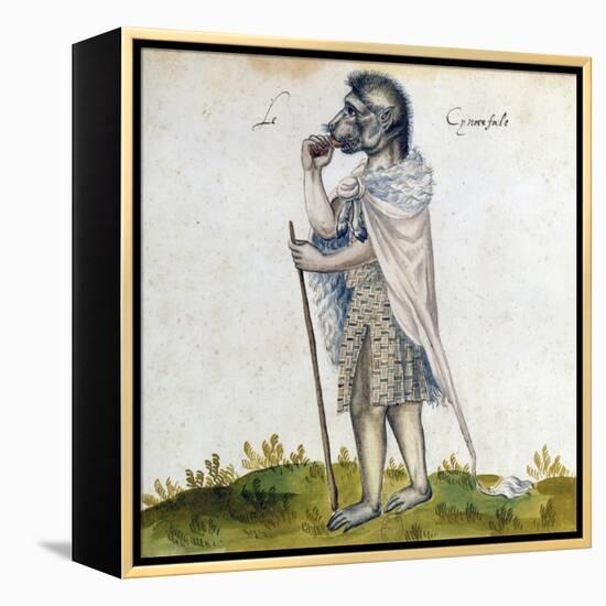 The Cynoscephalus, 15th Century-null-Framed Premier Image Canvas