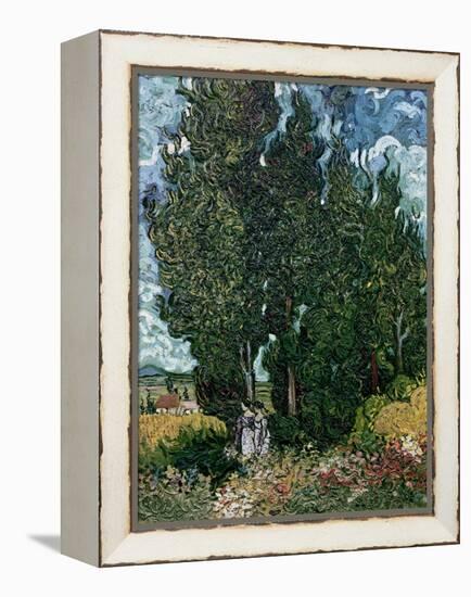 The Cypresses, c.1889-90-Vincent van Gogh-Framed Premier Image Canvas