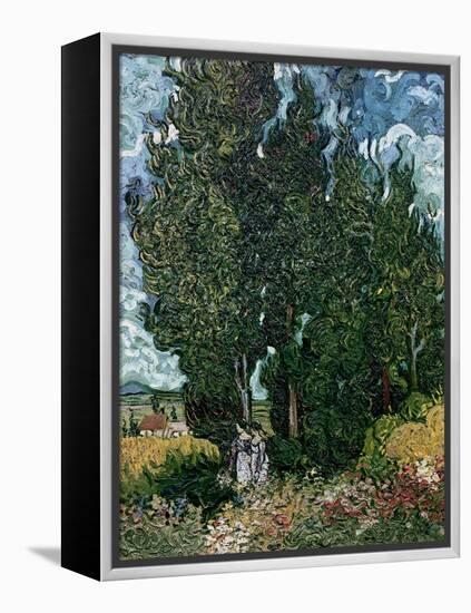 The Cypresses, c.1889-90-Vincent van Gogh-Framed Premier Image Canvas
