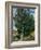 The Cypresses, c.1889-90-Vincent van Gogh-Framed Giclee Print