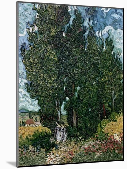 The Cypresses, c.1889-90-Vincent van Gogh-Mounted Giclee Print