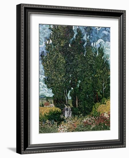 The Cypresses, c.1889-90-Vincent van Gogh-Framed Giclee Print