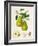 The D'Auch Pear, 1817-William Hooker-Framed Giclee Print