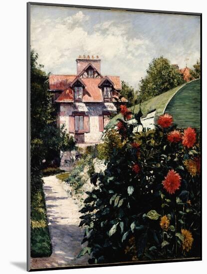 The Dahlias, Petit Gennevilliers Garden, 1893-Gustave Caillebotte-Mounted Giclee Print