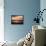 The Daily Round-Josh Adamski-Framed Premier Image Canvas displayed on a wall