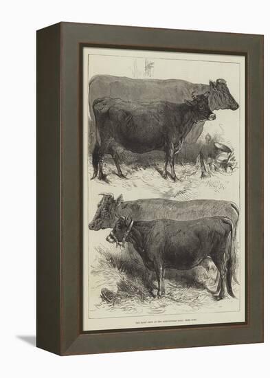 The Dairy Show at the Agricultural Hall, Prize Cows-Harrison William Weir-Framed Premier Image Canvas