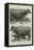 The Dairy Show at the Agricultural Hall, Prize Cows-Harrison William Weir-Framed Premier Image Canvas