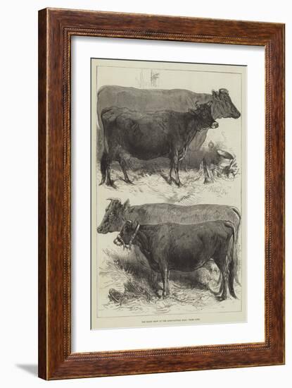 The Dairy Show at the Agricultural Hall, Prize Cows-Harrison William Weir-Framed Giclee Print