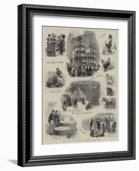 The Dairy Show at the Agricultural Hall-null-Framed Giclee Print