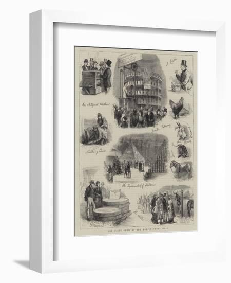 The Dairy Show at the Agricultural Hall-null-Framed Giclee Print