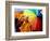 The Dalai Lama-null-Framed Photographic Print