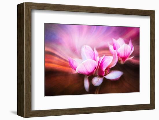The Dance Of Life-Janet Slater-Framed Photographic Print