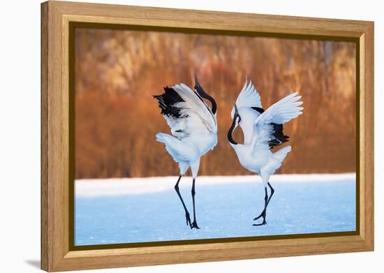 The Dance of Love-C. Mei-Framed Premier Image Canvas