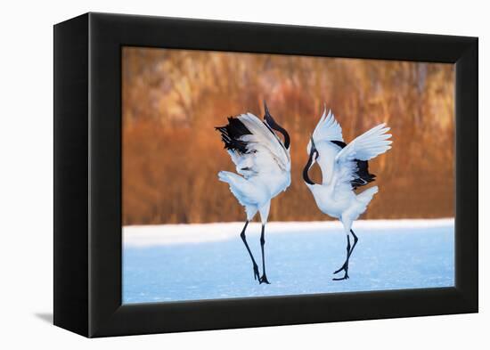 The Dance of Love-C. Mei-Framed Premier Image Canvas