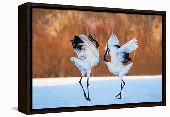 The Dance of Love-C. Mei-Framed Premier Image Canvas