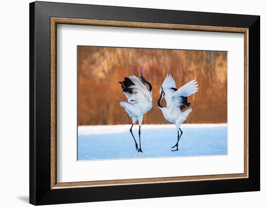 The Dance of Love-C. Mei-Framed Photographic Print