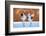 The Dance of Love-C. Mei-Framed Photographic Print