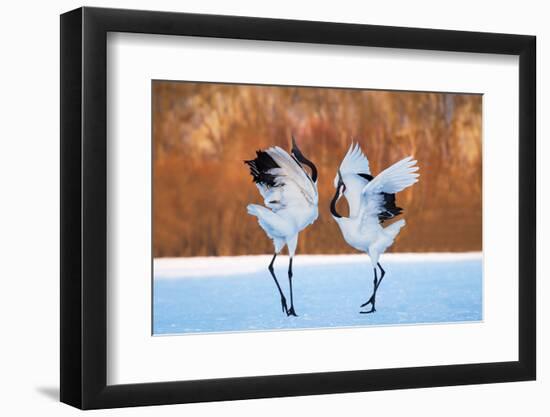 The Dance of Love-C. Mei-Framed Photographic Print