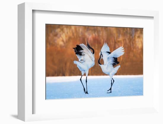 The Dance of Love-C. Mei-Framed Photographic Print