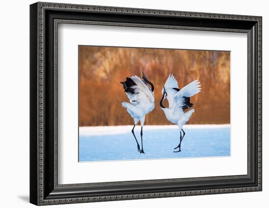 The Dance of Love-C. Mei-Framed Photographic Print