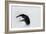 The Dance of Silence-Babak Haghi-Framed Photographic Print