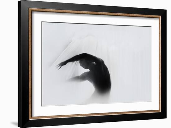 The Dance of Silence-Babak Haghi-Framed Photographic Print