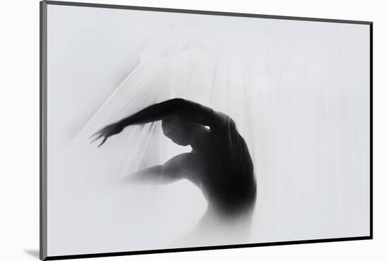 The Dance of Silence-Babak Haghi-Mounted Photographic Print