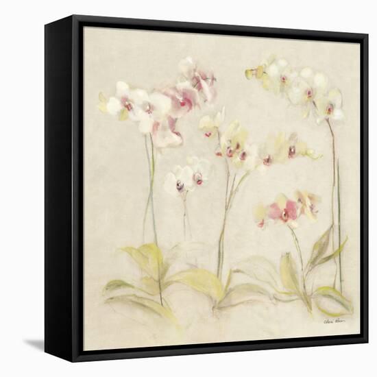 The Dance of the Orchids II-Cheri Blum-Framed Stretched Canvas