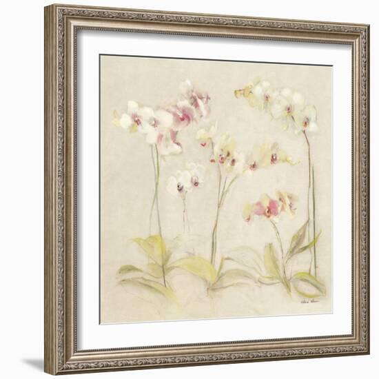 The Dance of the Orchids II-Cheri Blum-Framed Art Print