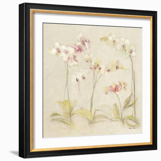 The Dance of the Orchids II-Cheri Blum-Framed Art Print