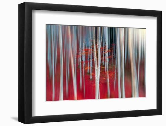 The dance of Trees-Marco Carmassi-Framed Photographic Print