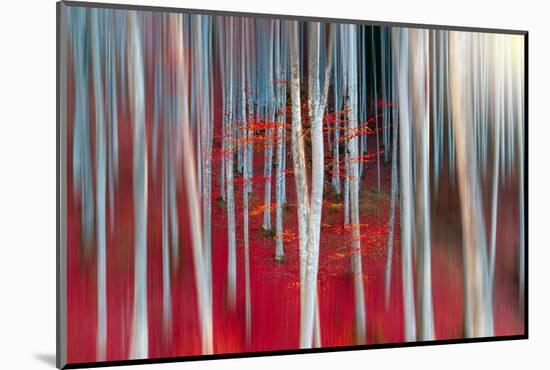 The dance of Trees-Marco Carmassi-Mounted Photographic Print