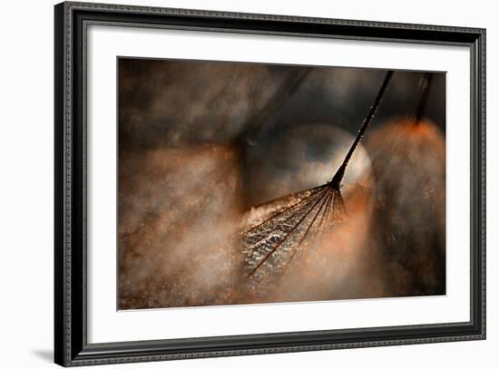 The Dance-Ursula Abresch-Framed Photographic Print