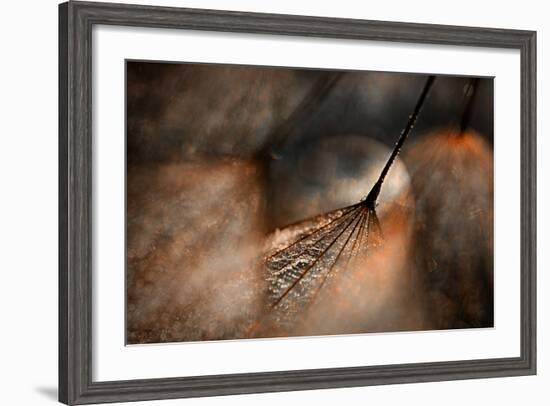 The Dance-Ursula Abresch-Framed Photographic Print