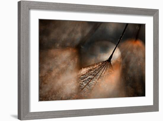 The Dance-Ursula Abresch-Framed Photographic Print