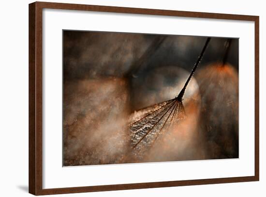 The Dance-Ursula Abresch-Framed Photographic Print