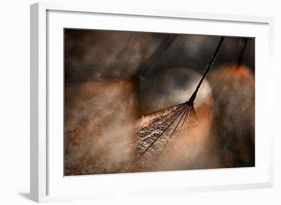 The Dance-Ursula Abresch-Framed Photographic Print