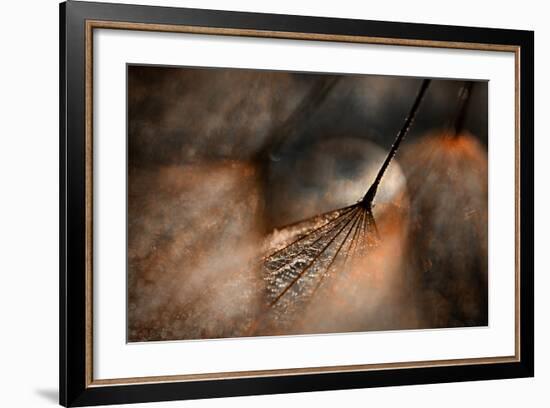 The Dance-Ursula Abresch-Framed Photographic Print