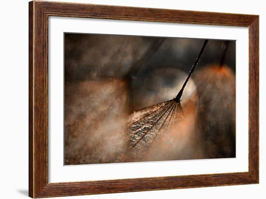 The Dance-Ursula Abresch-Framed Photographic Print