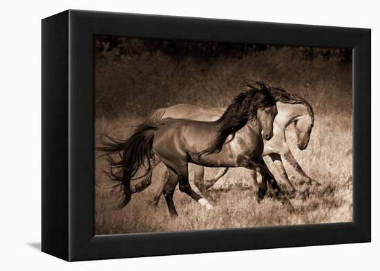 The Dance-Lisa Dearing-Framed Premier Image Canvas