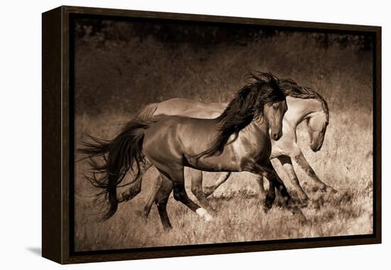 The Dance-Lisa Dearing-Framed Premier Image Canvas